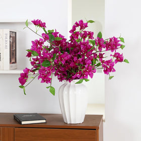 Apeair bougainvillea outdoor-garden ornament brings year-round charm to patios.