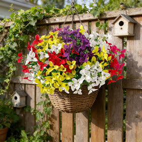 Apeair 24 bundles arranged in planters for spring and summer decor