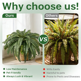 Apeair UV-resistant artificial fern stays vibrant in sun.
