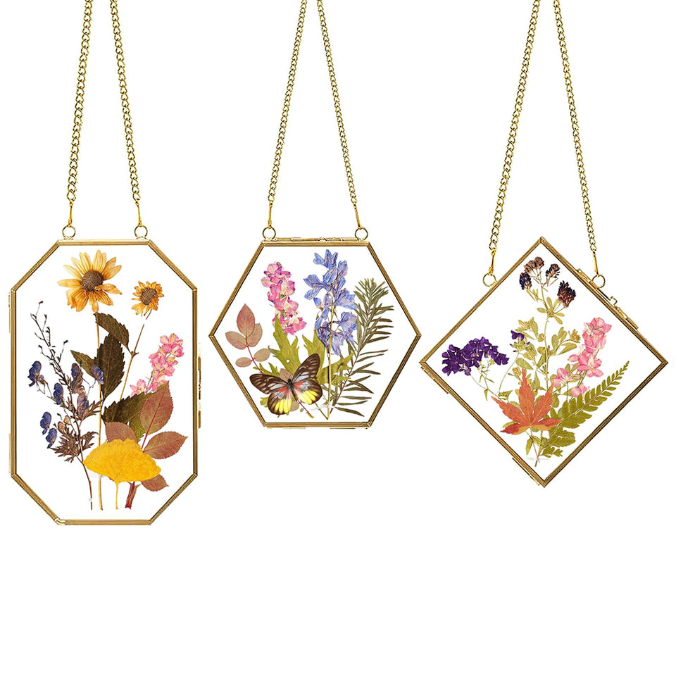 Apipi quad frame for wall display with pressed flowers