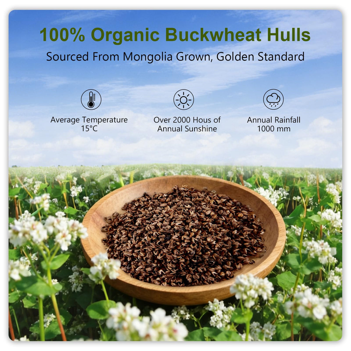 APOBUY organic cotton shell offers breathable skin-friendly comfort.