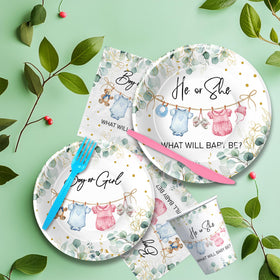APOWBLS tableware set serving 24 with cohesive gender reveal decor