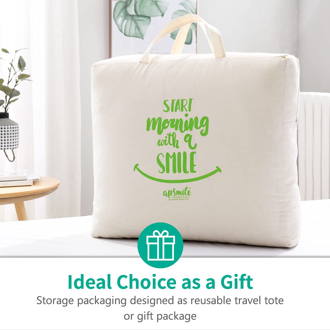 APSMILE gift-ready packaging doubles as a reusable tote.