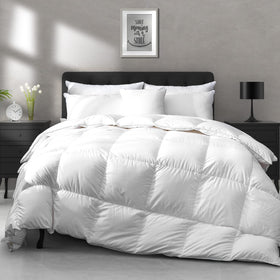 APSMILE luxury down fiber comforter full-queen ivory close-up packaging highlights all-season warmth.