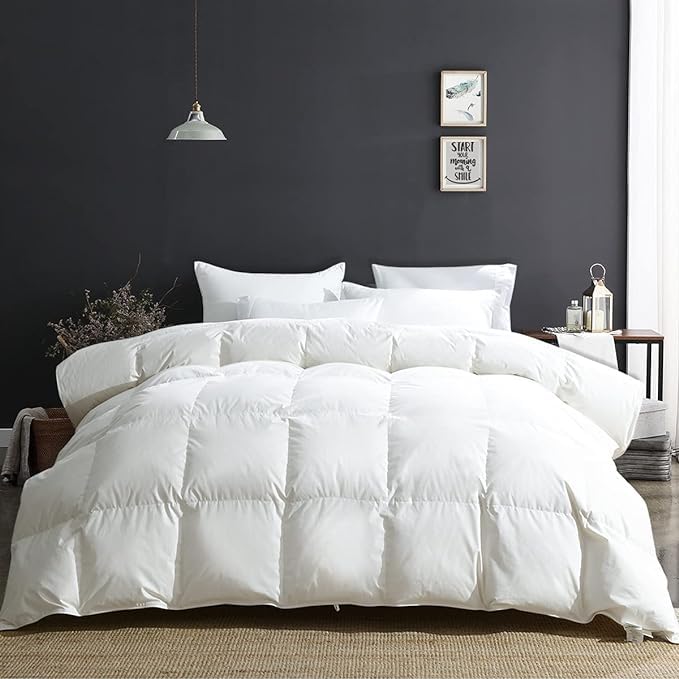 APSMILE oversized king comforter 120x98 for year-round warmth and cloud-like softness.