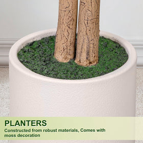 Adjustable branches on the Arborvigro ficus tree for a customized canopy.