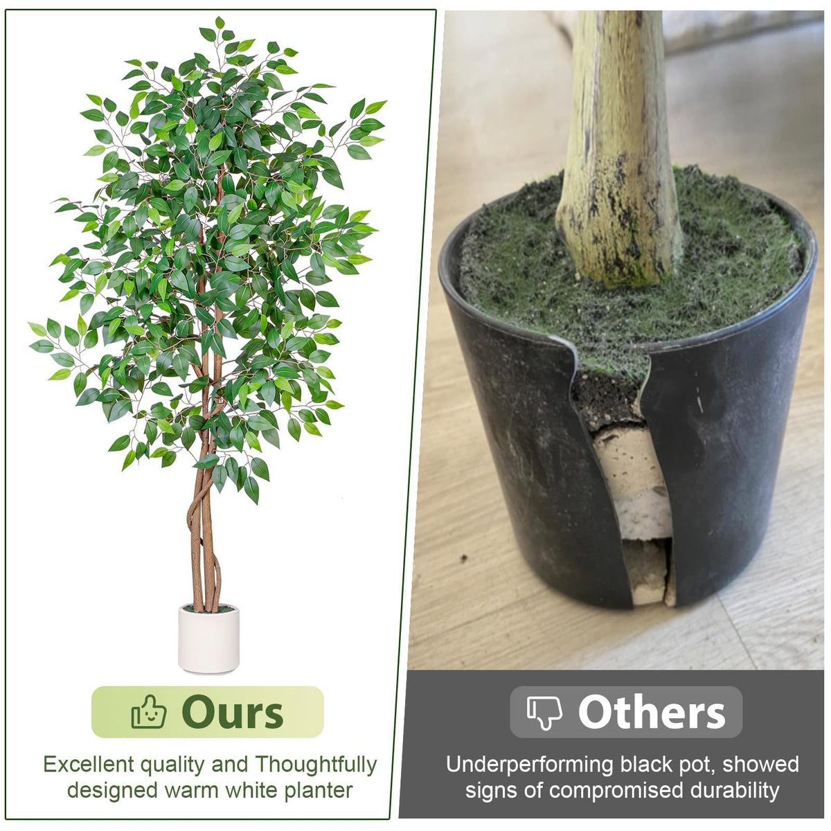 Arborvigro assembly guide image showing quick setup and sturdy base.