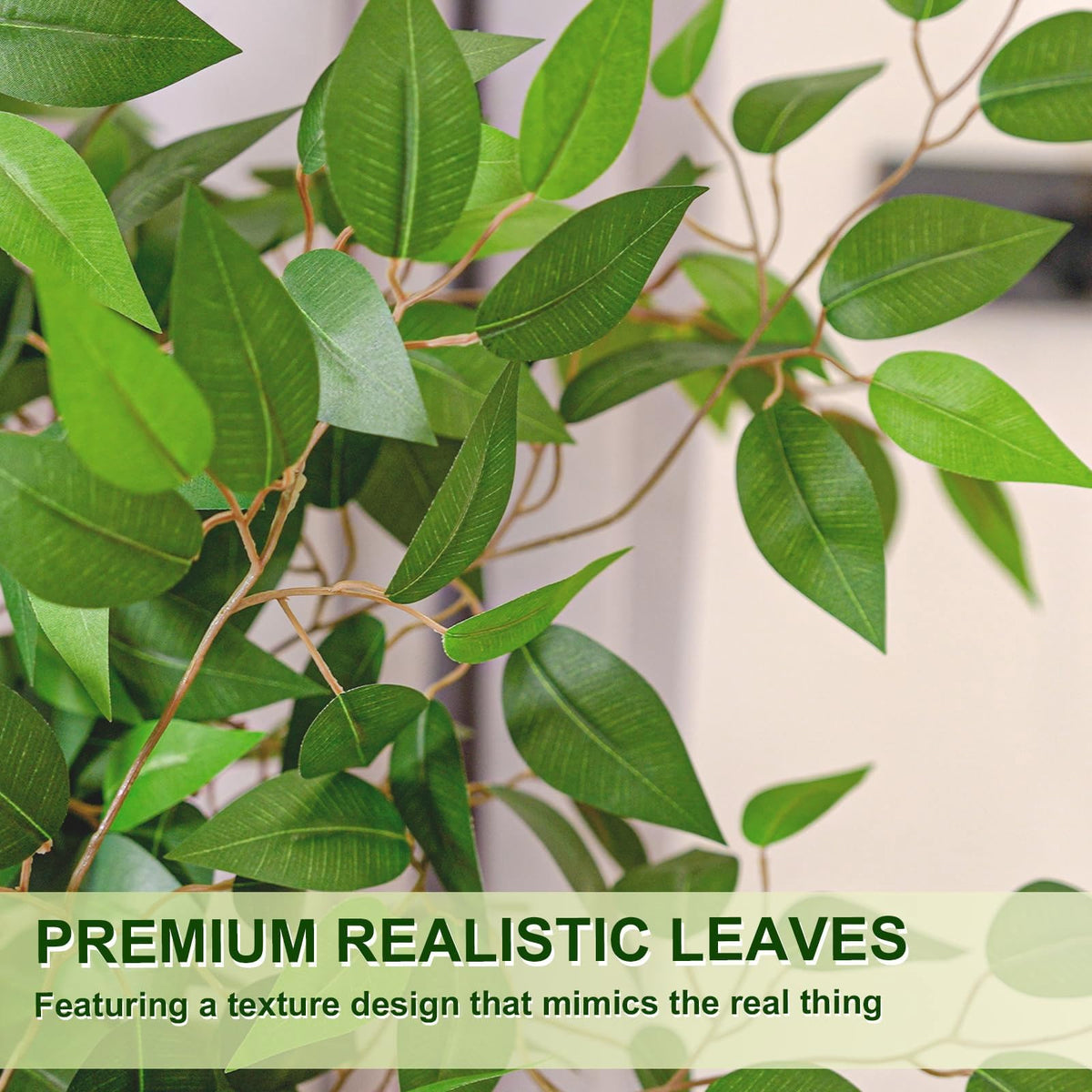 No-maintenance Arborvigro plant offering year-round greenery.