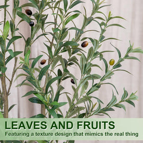 Arborvigro potted olive tree base keeps the plant stable on surfaces.