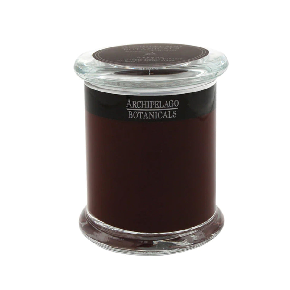 Archipelago Havana candle in bergamot-jar creates a bright, inviting room ambiance
