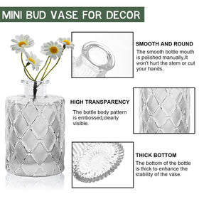 Arme mini clear bud vases highlighting flowers with crystal-like light
