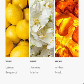 Aroma360 Cabana bergamot jasmine essence highlights uplifting ambience.