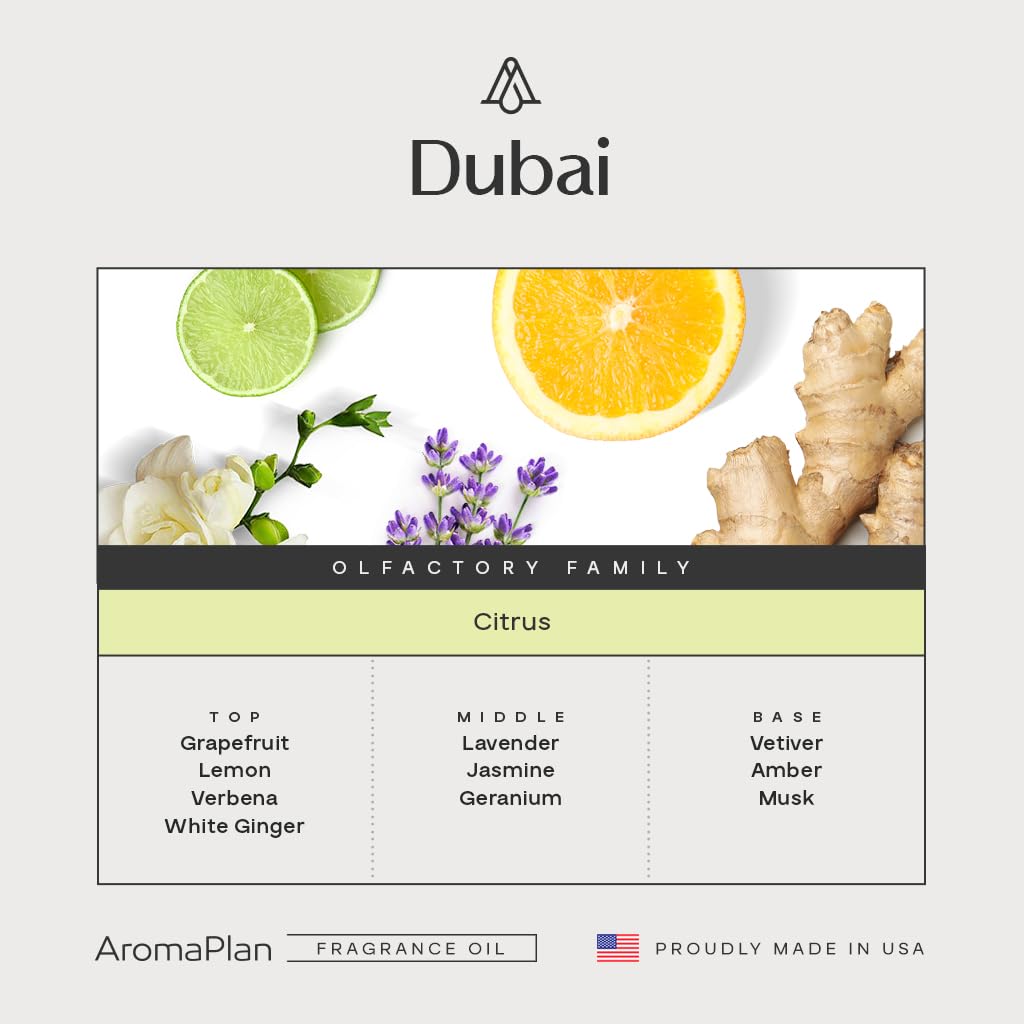 AROMAPLAN Dubai 2-pack bottle side view, generous bottle size for lasting aroma.