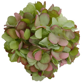 artifiplant hydrangea head display showing removable stem for versatile decor ideas.