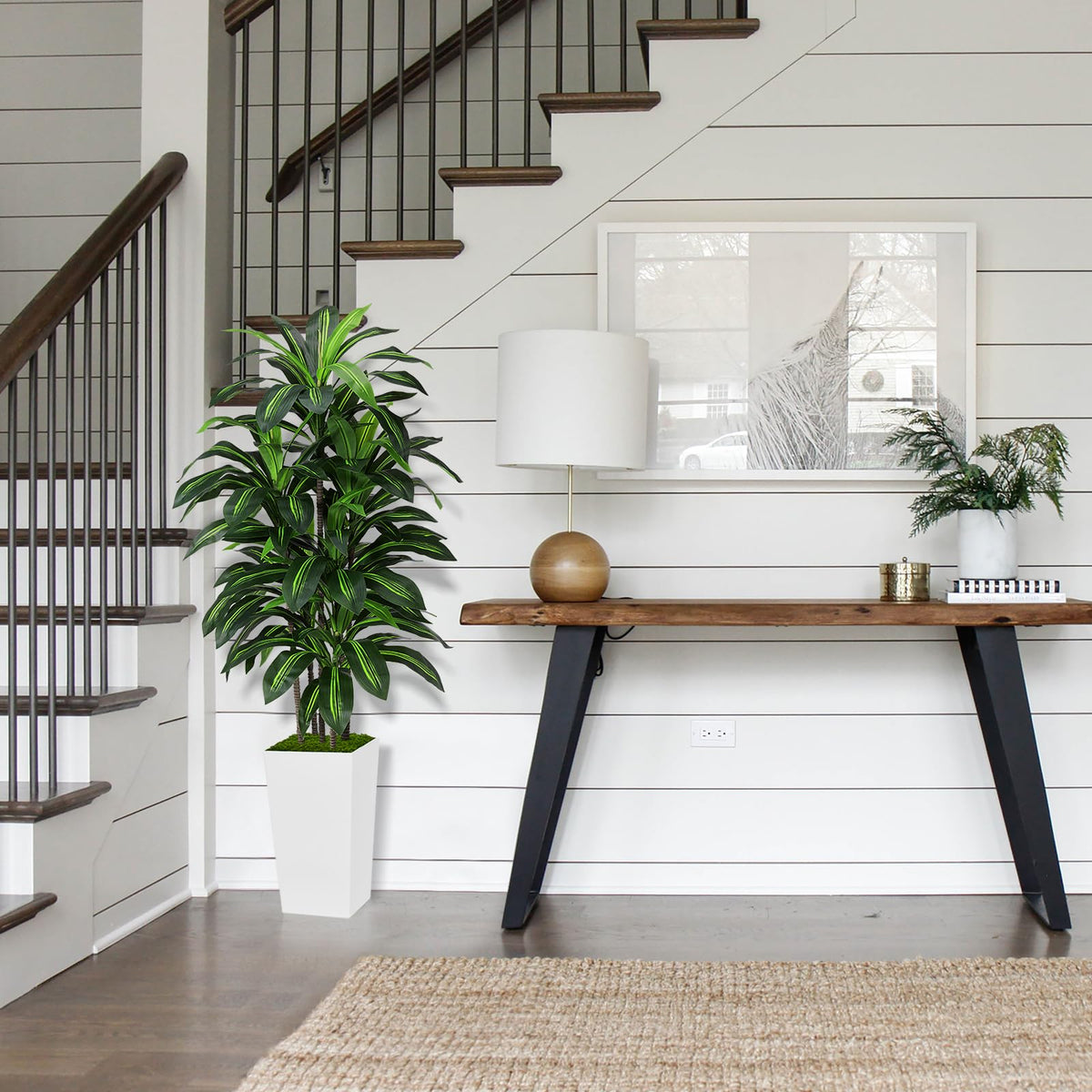 ASTIDY dracaena with adjustable branches allows easy shaping for fullness.