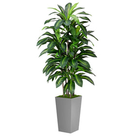 ASTIDY artificial Dracaena 5ft tree in gray planter for timeless indoor decor
