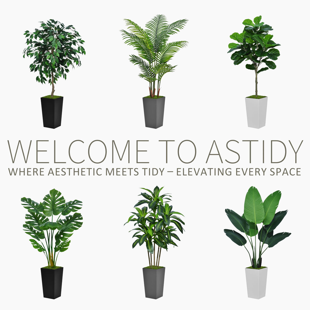 ASTIDY adjustable branches highlight flexible shaping for customized fullness