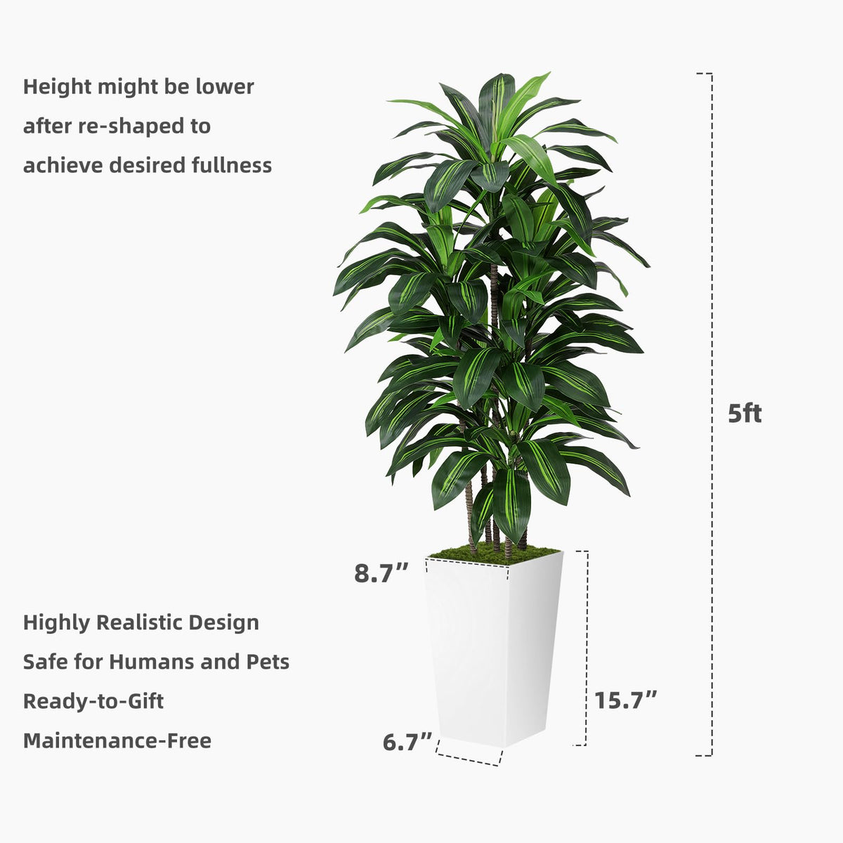 ASTIDY potted dracaena tree shown as a versatile addition to shelves and corners