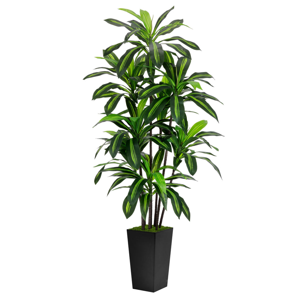 ASTIDY 6ft artificial dracaena tree in a black tall planter for home decor and easy upkeep.