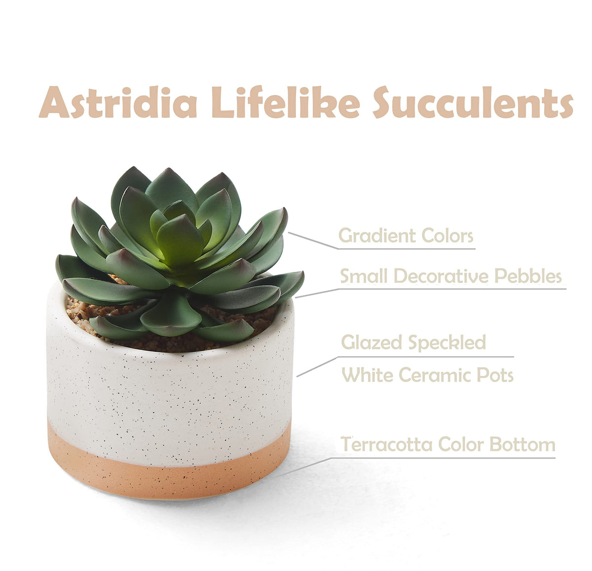 Astridia artificial succulent plants displayed on a bedroom shelf for subtle greenery.