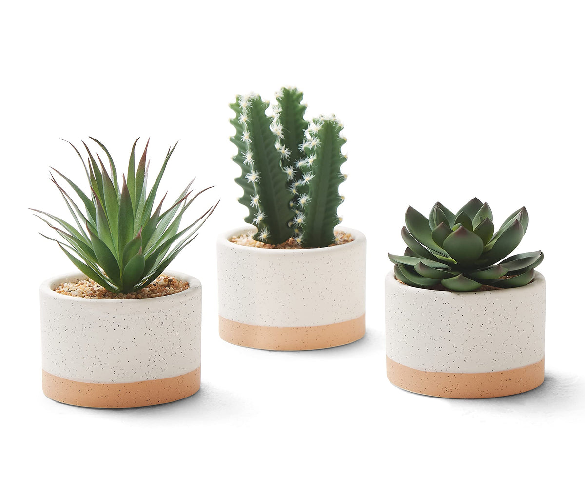 Astridia artificial succulent plants in ceramic pots closeup showing lifelike texture and color.