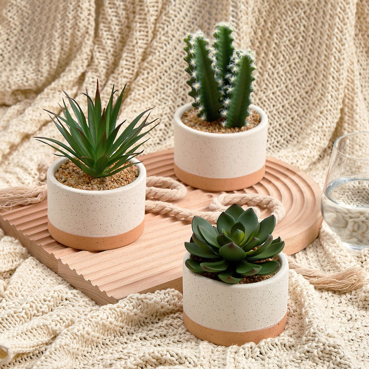 Astridia artificial succulent plants arranged on a desk for stylish office decor.
