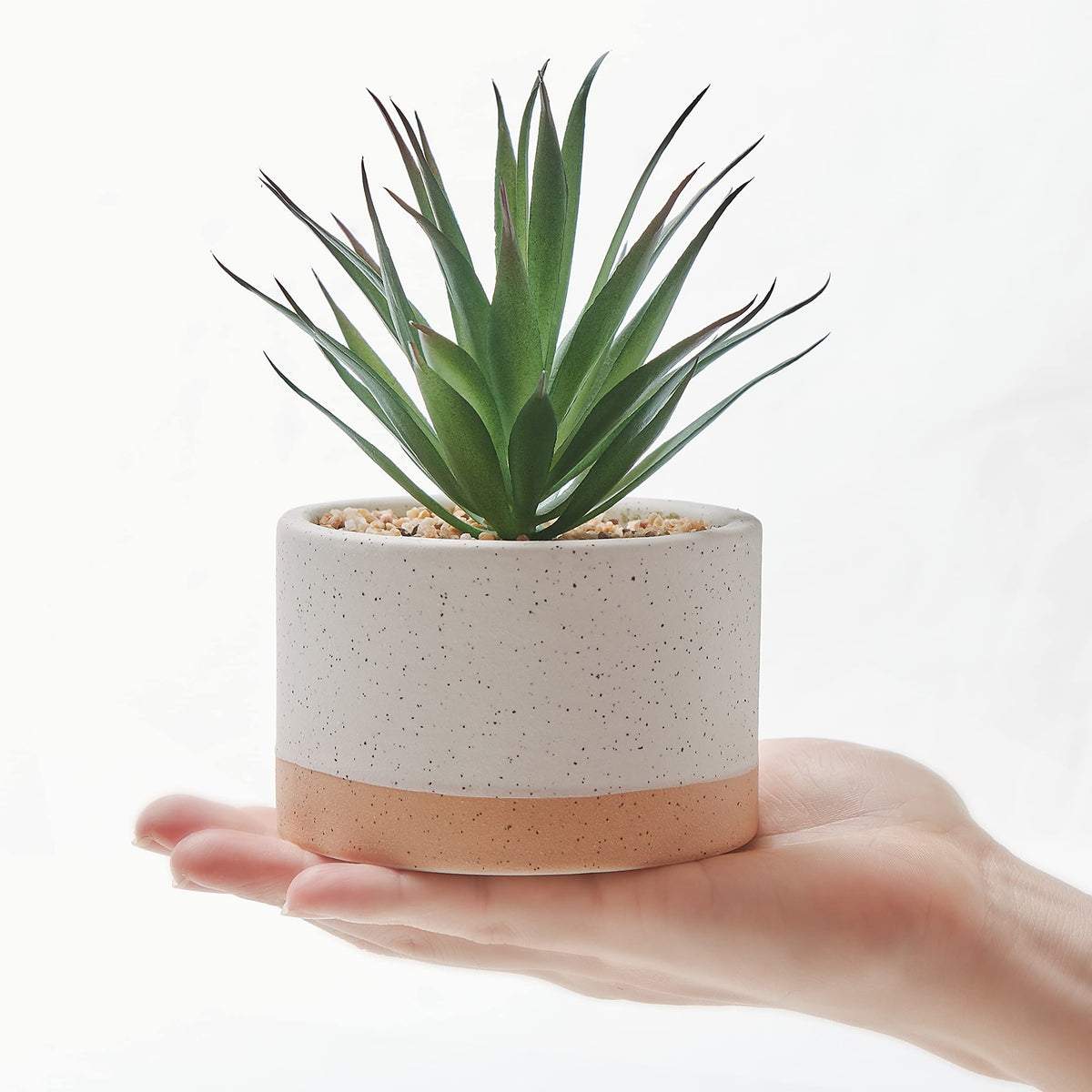 Astridia artificial succulent plants in ceramic pots suitable for gifting.