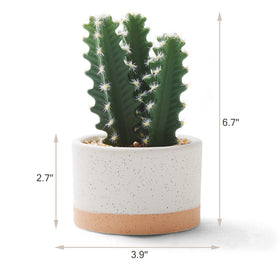 Astridia artificial succulent plants on a living room table as a centerpiece.