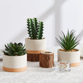 Astridia artificial succulent plant set with ceramic pots to boost home ambiance.