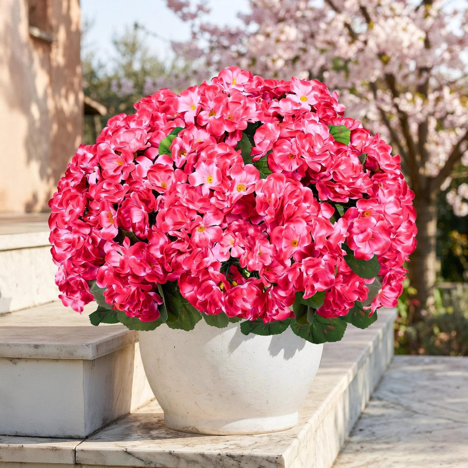 ATTGREAT geraniums rose red bundles for outdoors provide lasting color in planters