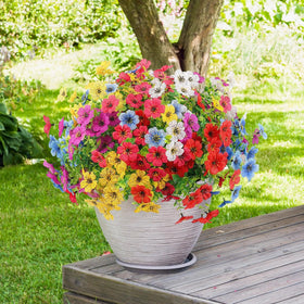 ATTGREAT weatherproof daisy blooms ideal for gardens and walkways