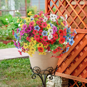 ATTGREAT indoor-outdoor daisies adding color to a sunlit window box