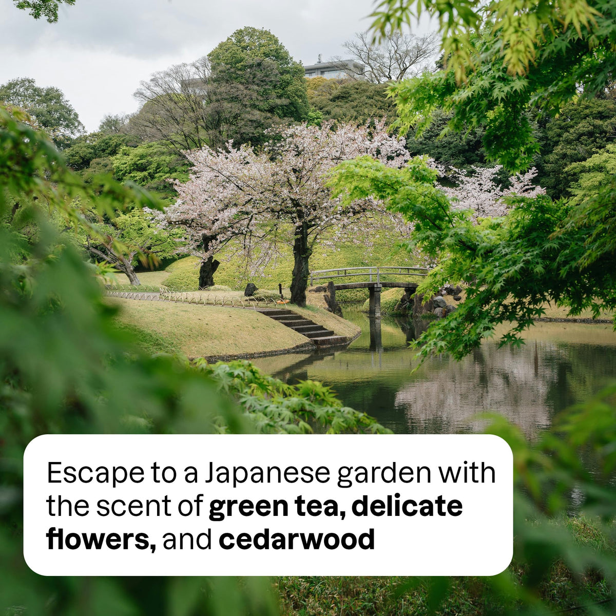 ATTITUDE Japanese Garden spray in action delivering room aroma