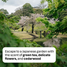 ATTITUDE Japanese Garden spray in action delivering room aroma