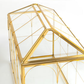 Atzciyr clear gold terrarium box for versatile decor