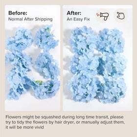 Auihiay blue hydrangea flowers in airy arrangements for cozy homes.