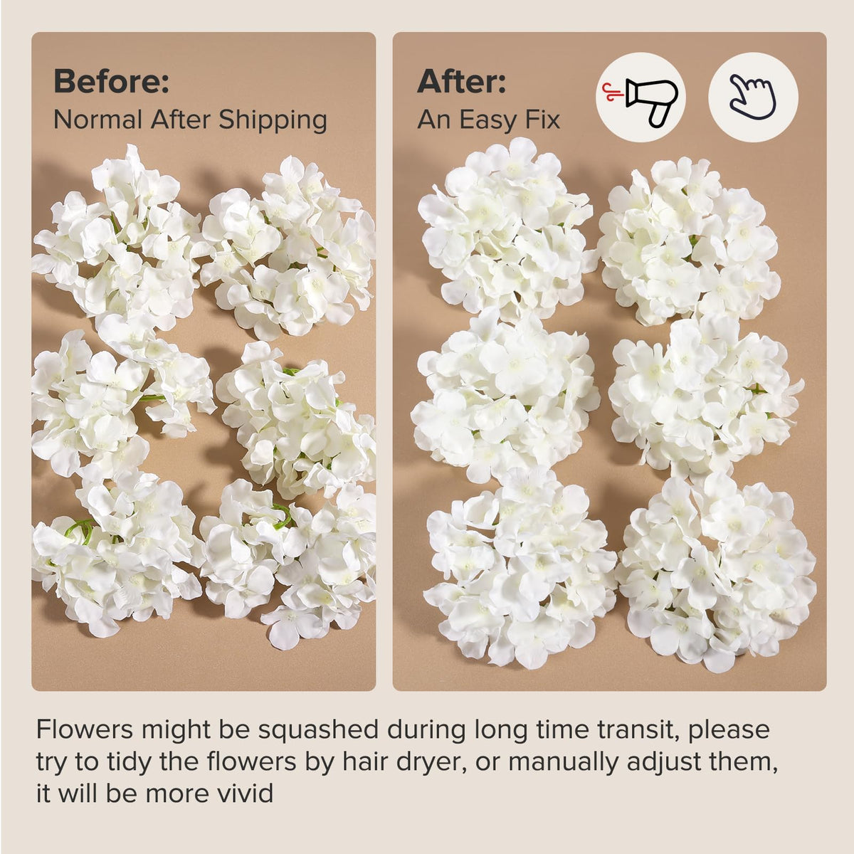 Auihiay ivory hydrangeas brighten any event with timeless elegance.