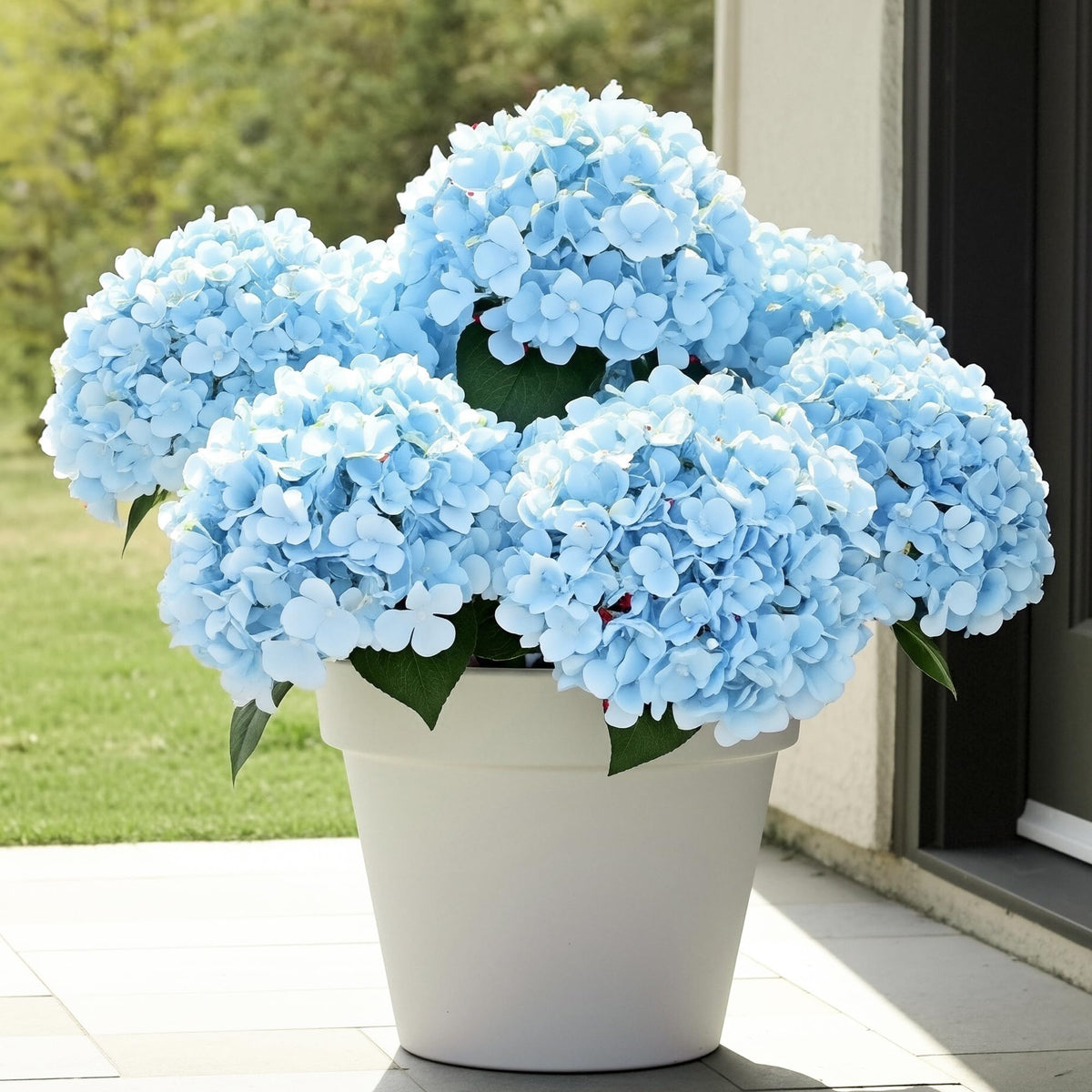 Auihiay hydrangea 6-bundle blue outdoor; UV-resistant blooms stay vibrant in sun.