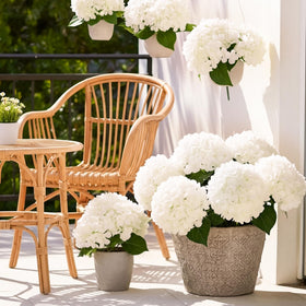 Auihiay long stems are bendable for creative arrangements