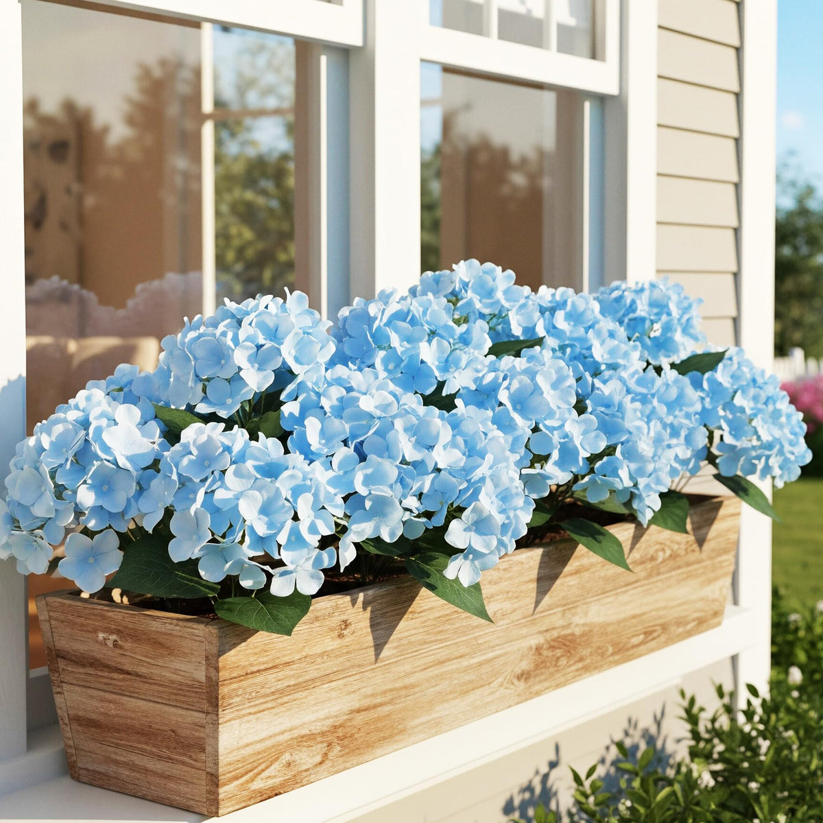 Auihiay UV-protected blue hydrangea; color retention under sun exposure.