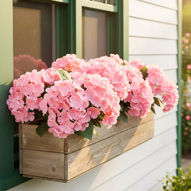 Auihiay hydrangea with UV protection layer preserves color outdoors