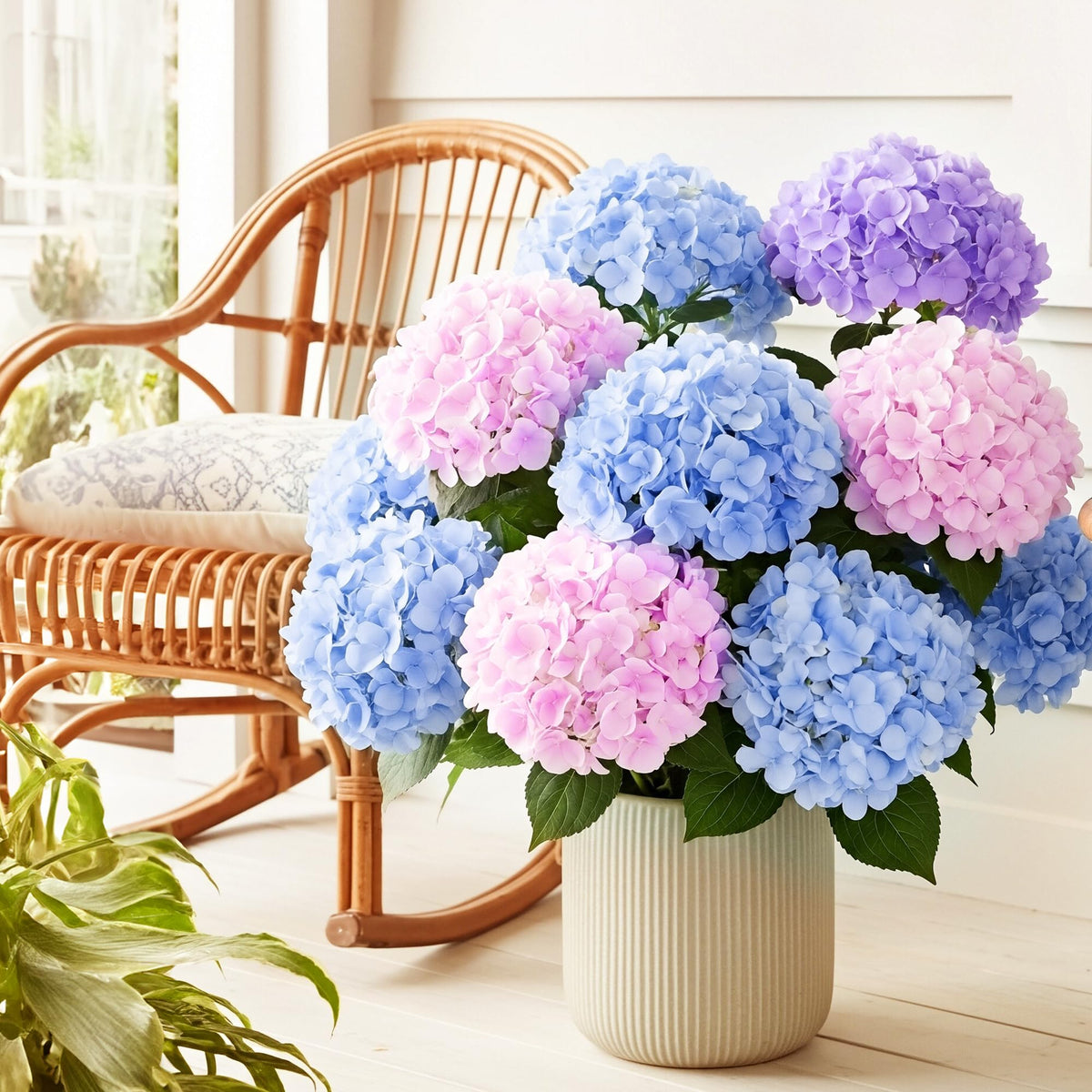 Auihiay hydrangea window box arrangement adds lush color to indoor/outdoor spaces.