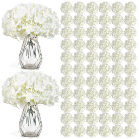 Auihiay ivory hydrangea head close-up for wedding centerpieces.