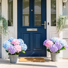 Auihiay outdoor hydrangea wind and rain resistant design for year-round use.
