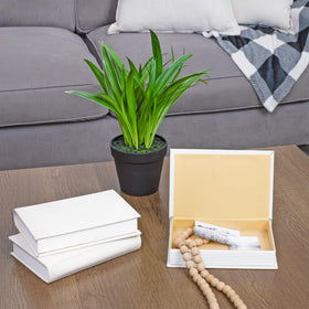 AuldHome Design cream book set showing hidden storage compartment