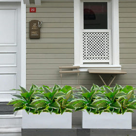 AUMVEYI hosta outdoor plants resist fading with UV-rated leaves