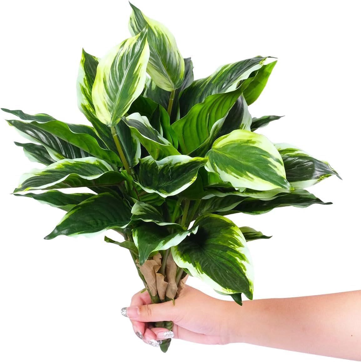 AUMVEYI lifelike hosta leaves add instant greenery to porches