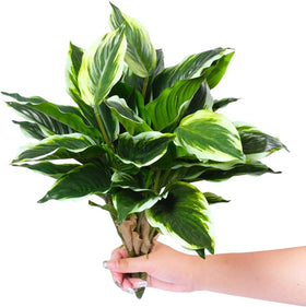 AUMVEYI lifelike hosta leaves add instant greenery to porches