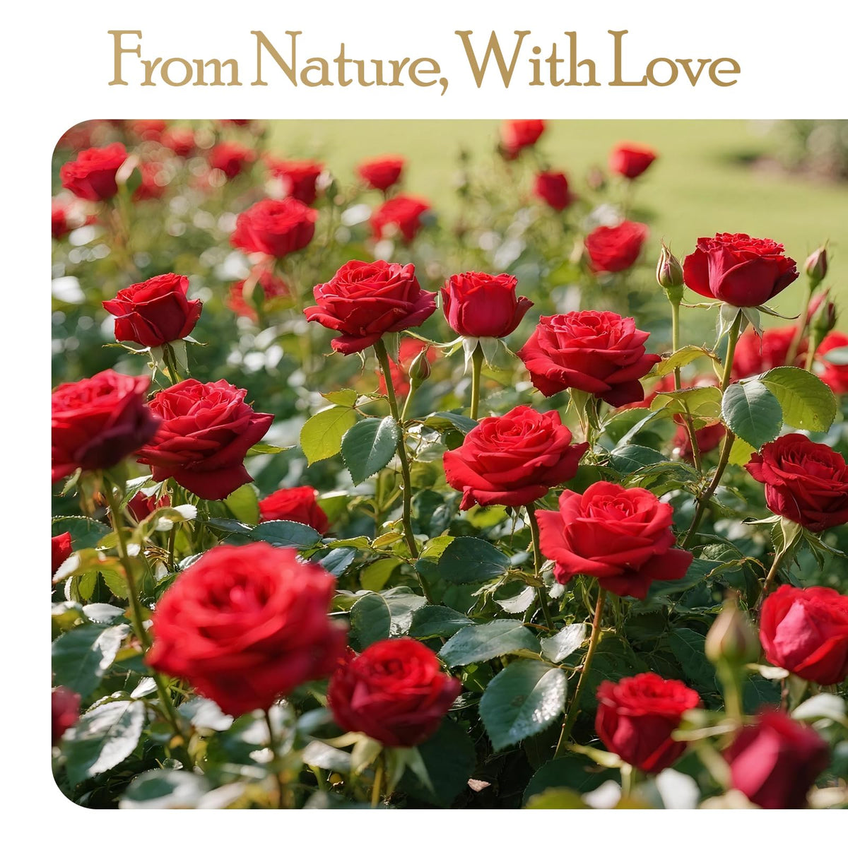 Auoasl-handmade-rose-keepsake embodies a handcrafted touch that lasts.