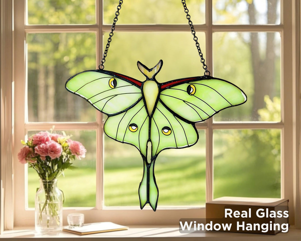 AuroAura Luna Moth suncatcher reflects rainbow colors on walls and windows.